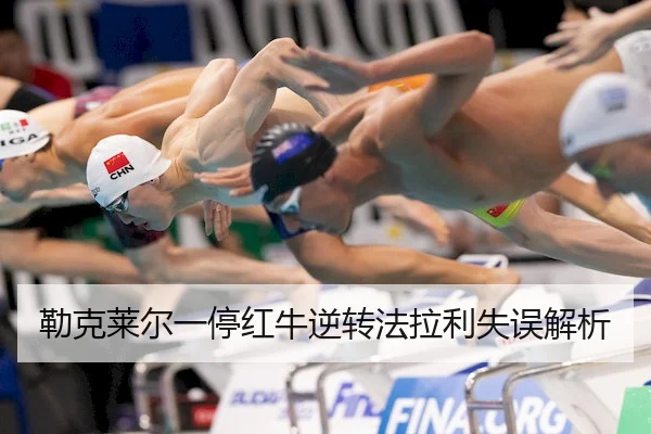 lei-ke-lai-er-yi-ting-hong-niu-ni-zhuan-fa-la-li-shi-wu-jie-xi-2-407.jpg